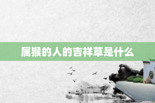 属猴的人的吉祥草是什么