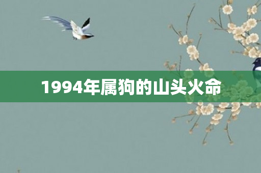 1994年属狗的山头火命