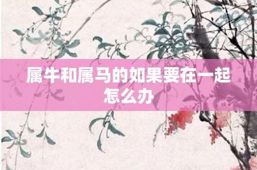 属牛和属马的如果要在一起怎么办