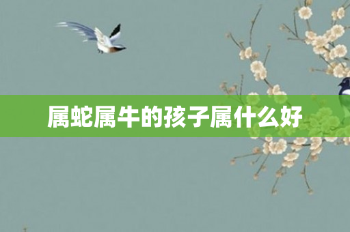 属蛇属牛的孩子属什么好