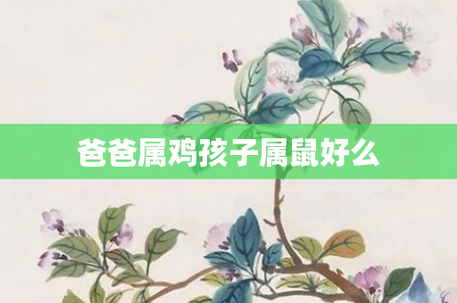 爸爸属鸡孩子属鼠好么