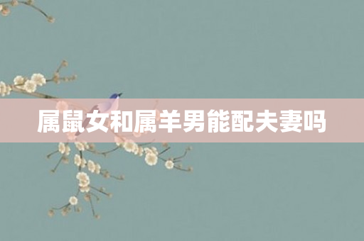 属鼠女和属羊男能配夫妻吗