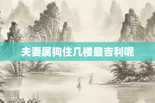 夫妻属狗住几楼最吉利呢