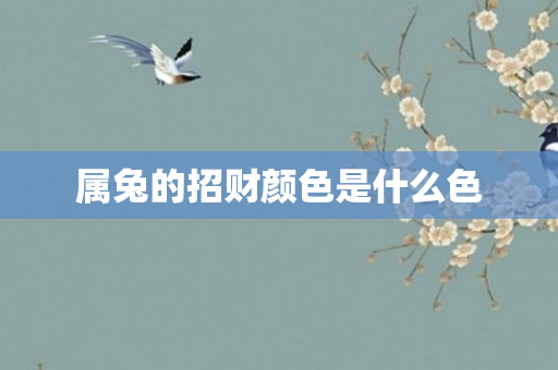 属兔的招财颜色是什么色