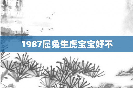 1987属兔生虎宝宝好不