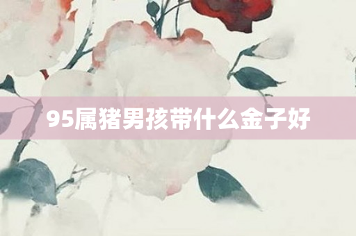 95属猪男孩带什么金子好