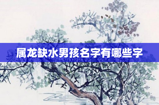 属龙缺水男孩名字有哪些字