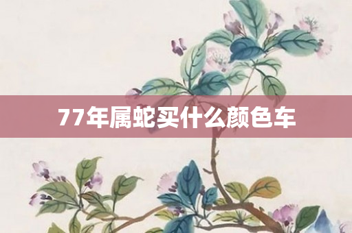 77年属蛇买什么颜色车