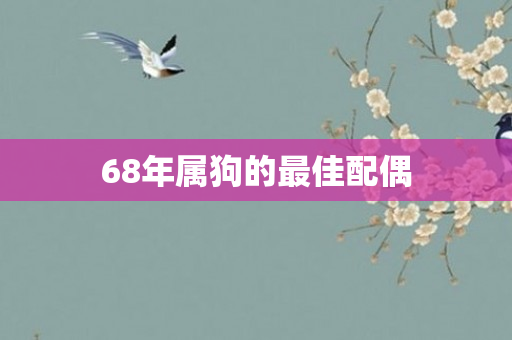68年属狗的更佳配偶