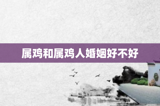 属鸡和属鸡人婚姻好不好