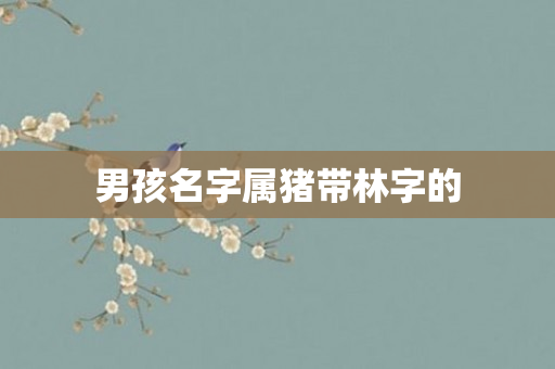 男孩名字属猪带林字的