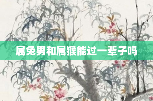 属兔男和属猴能过一辈子吗