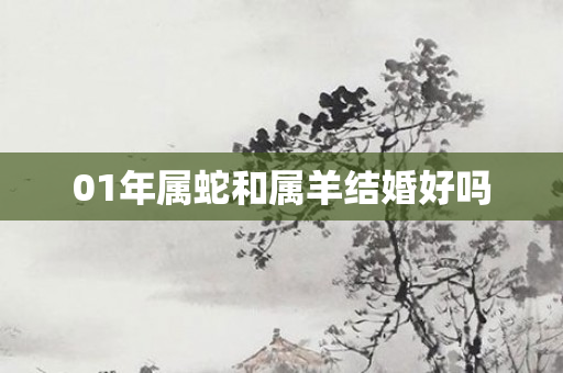 01年属蛇和属羊结婚好吗
