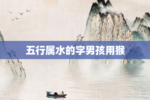 五行属水的字男孩用猴