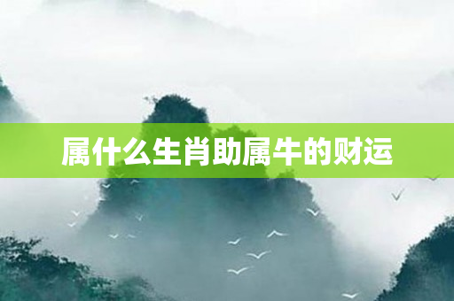 属什么生肖助属牛的财运