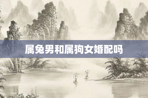 属兔男和属狗女婚配吗