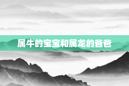 属牛的宝宝和属龙的爸爸