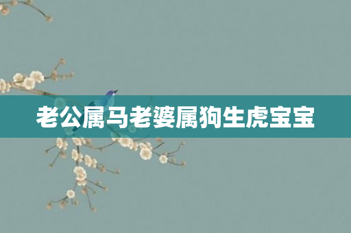 老公属马老婆属狗生虎宝宝