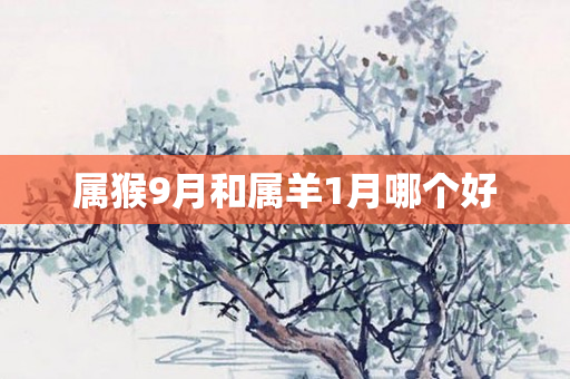 属猴9月和属羊1月哪个好
