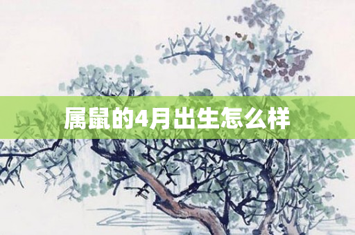 属鼠的4月出生怎么样
