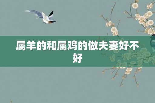 属羊的和属鸡的做夫妻好不好