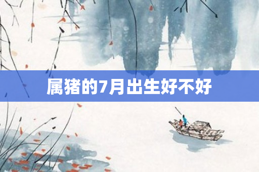 属猪的7月出生好不好