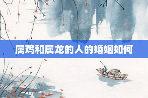属鸡和属龙的人的婚姻如何
