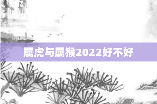 属虎与属猴2022好不好