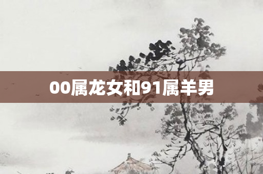 00属龙女和91属羊男