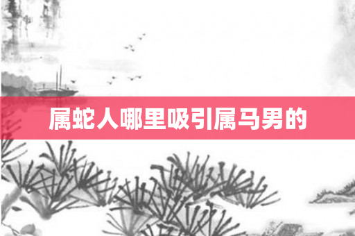 属蛇人哪里吸引属马男的