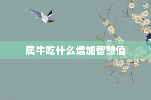 属牛吃什么增加智慧值