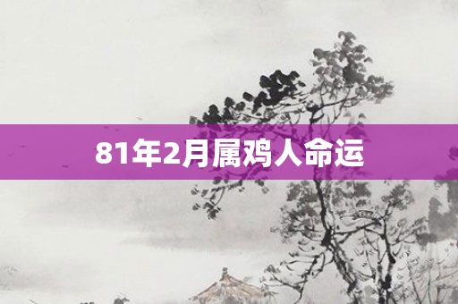 81年2月属鸡人命运
