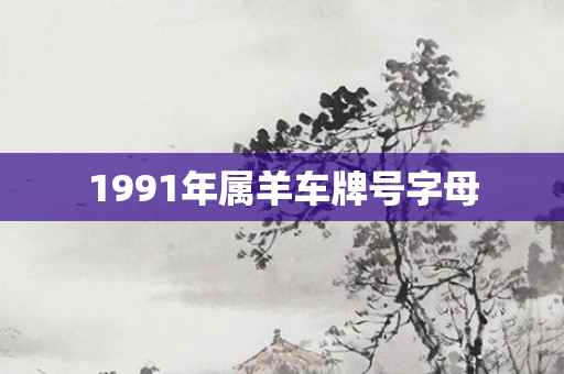 1991年属羊车牌号字母
