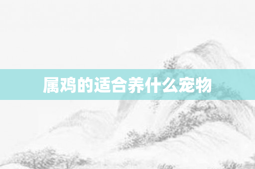 属鸡的适合养什么宠物