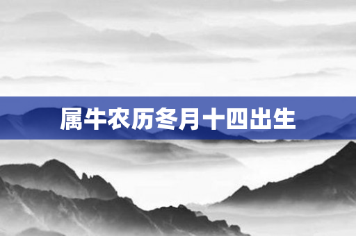 属牛农历冬月十四出生