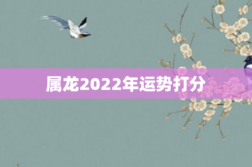 属龙2022年运势打分