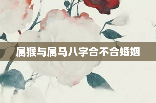 属猴与属马八字合不合婚姻