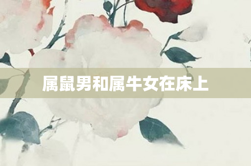 属鼠男和属牛女在床上