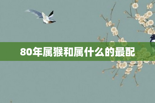 80年属猴和属什么的最配