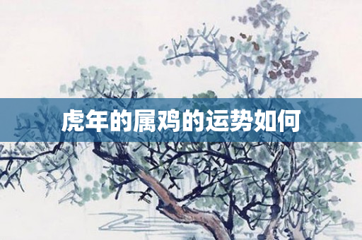 虎年的属鸡的运势如何
