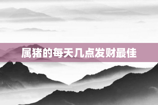 属猪的每天几点发财更佳