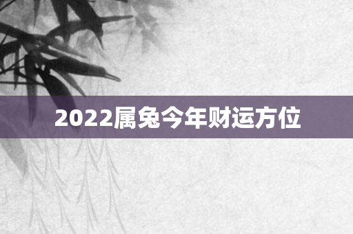 2022属兔今年财运方位