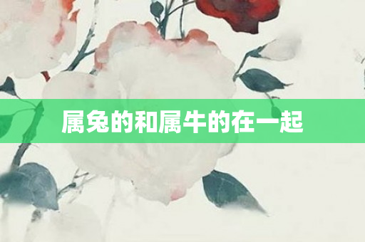 属兔的和属牛的在一起