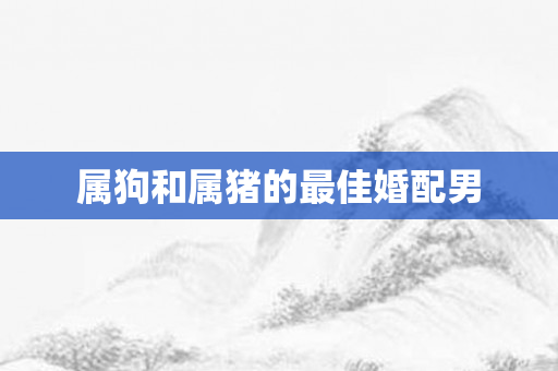 属狗和属猪的更佳婚配男