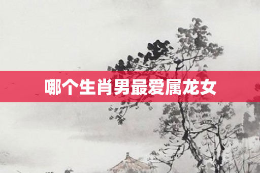 哪个生肖男更爱属龙女
