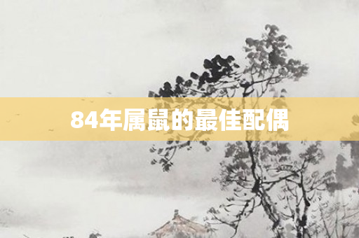 84年属鼠的更佳配偶