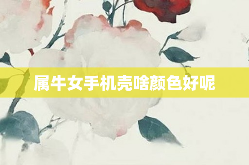 属牛女手机壳啥颜色好呢