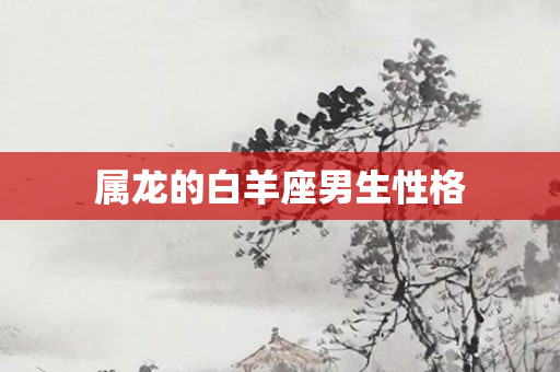 属龙的白羊座男生性格