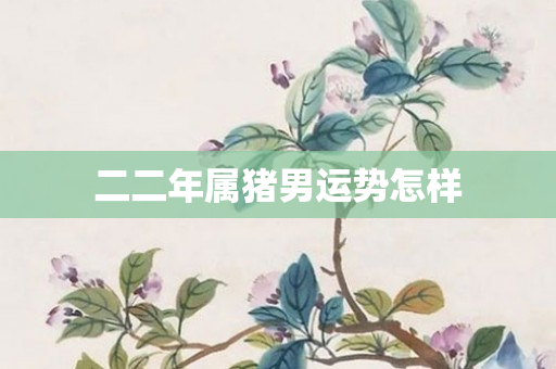 二二年属猪男运势怎样
