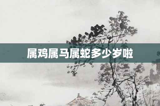 属鸡属马属蛇多少岁啦